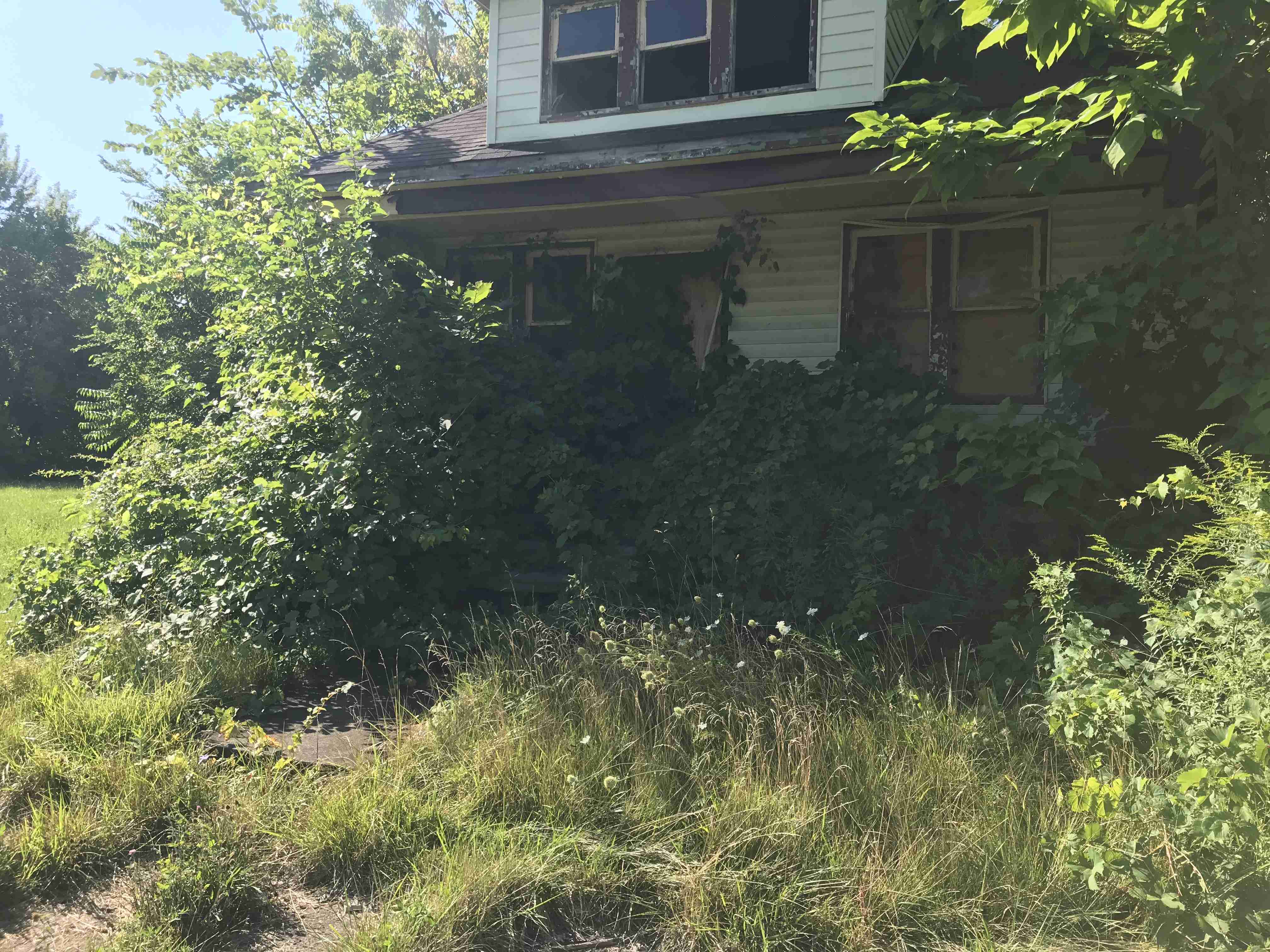 Photo Aug 20, 10 07 03 AM.jpg